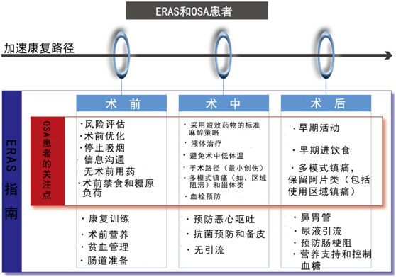 康复|“醉”译献 | 促进术后康复：为阻塞性睡眠呼吸暂停患者量身定做的临床路径