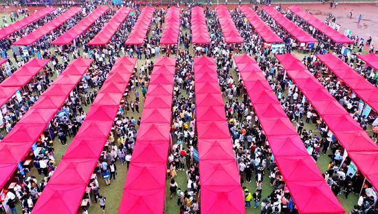 就业|疫情前后我国高校应届毕业生就业期待变化了吗