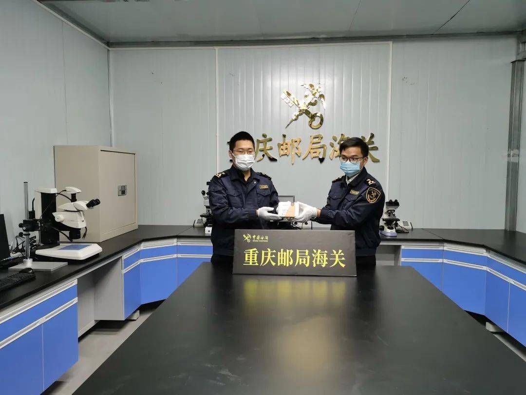 近日,重庆海关从邮递渠道入境邮包中查获新型毒品-大麻"茶叶,这是