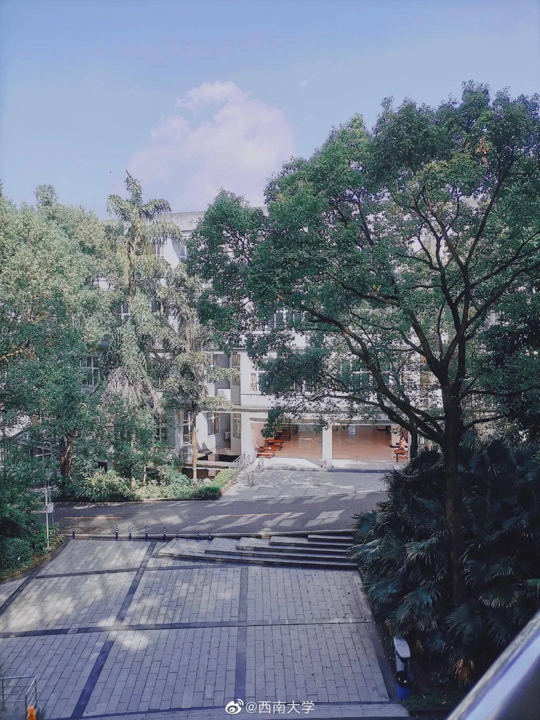 官宣|高校“官宣”秋景来了，有你的校园记忆吗？