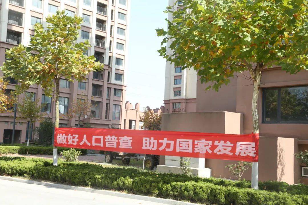 加快人口普查进度_人口普查(3)
