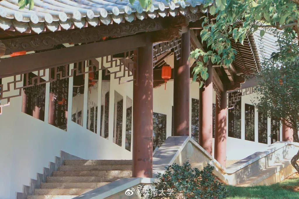 官宣|高校“官宣”秋景来了，有你的校园记忆吗？