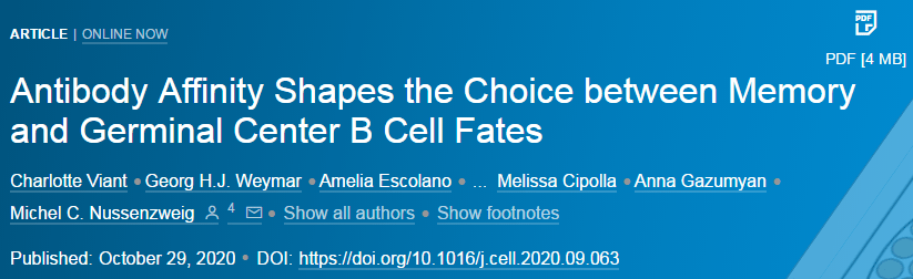 Cell|Cell重磅 | 记忆和生发中心B细胞的命运选择由抗体亲和力决定！