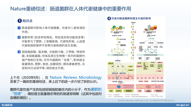 产业|热心肠先生：23分钟详解血糖、碳水化合物与菌群前沿进展