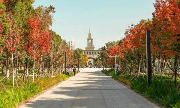 秋景|惊艳！高校官宣秋景来了，有你的母校吗？