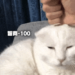 879d7b31f0d64c979287d499aaf4ced3.gif