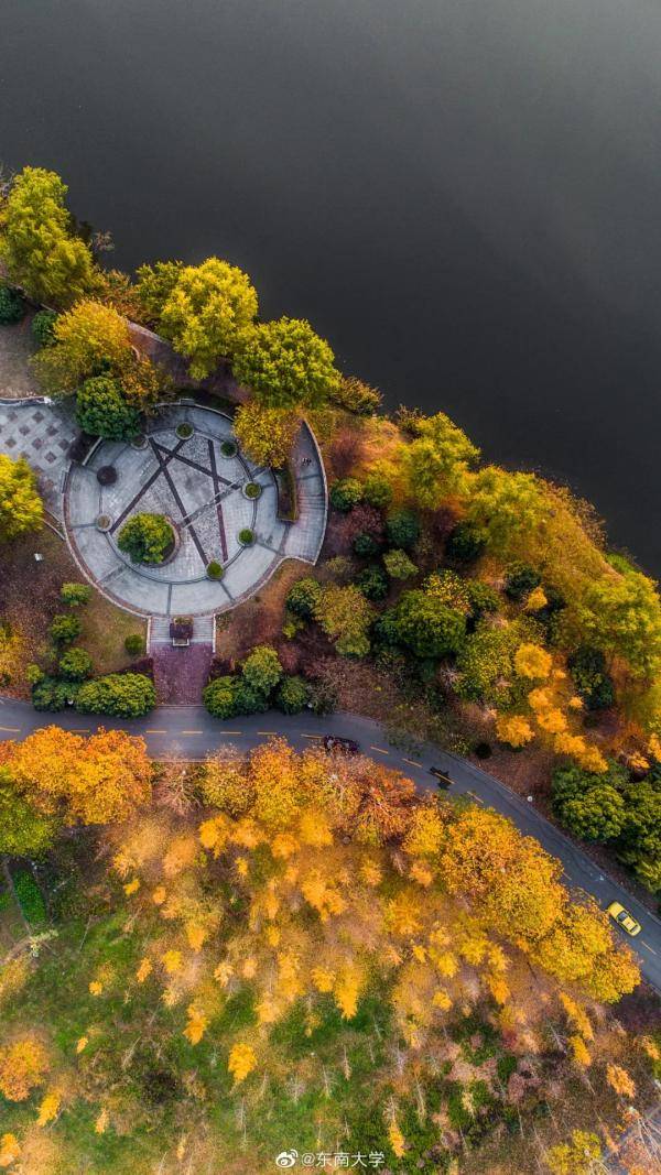 秋景|惊艳！高校官宣秋景来了，有你的母校吗？