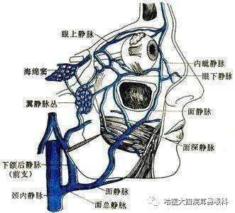 小小的疖肿却不简单,甚至可以引起大麻烦,这是由于由于鼻疖位于鼻部