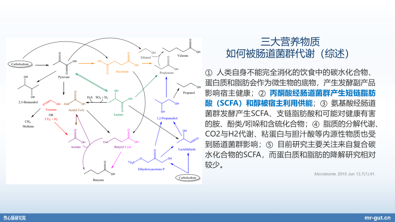 产业|热心肠先生：23分钟详解血糖、碳水化合物与菌群前沿进展