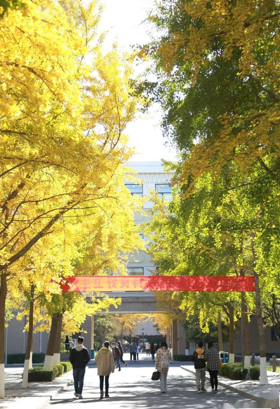 北京化工大学