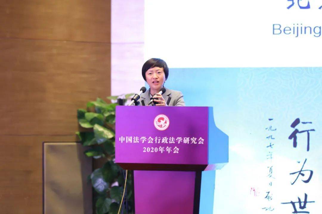 我国行政处罚理论研究的新进展 张红(北京师范大学法学院教授)