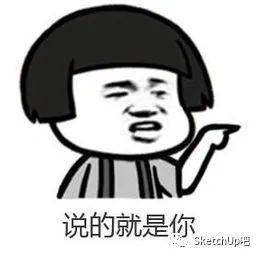 光速建模流动表皮su你可真行啊