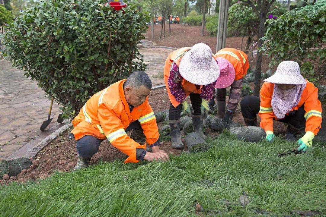 待湿地建成后重回故地,成为一名园林工人,负责绿化工作,这一做就是