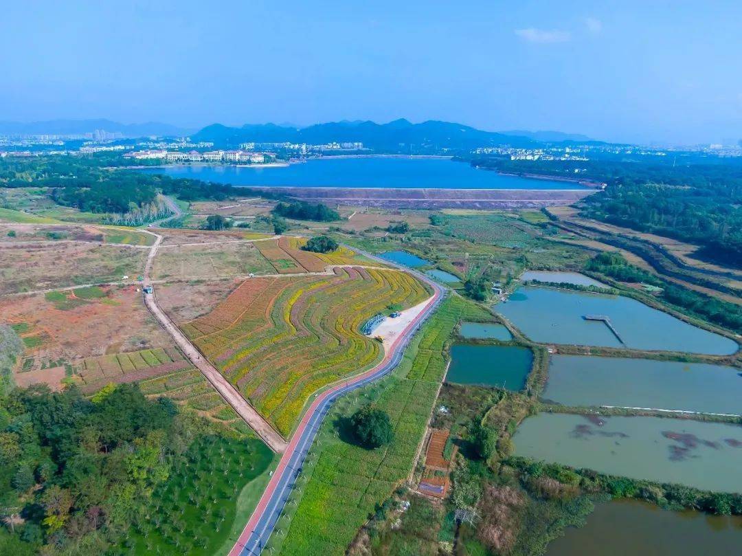 占地面积约810公顷!华东地区规模最大的义乌植物园开工建设