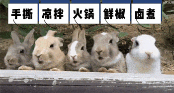 350_188gif 动态图 动图