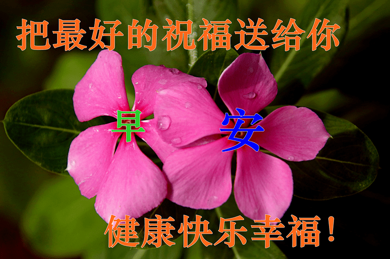 dee636065d284e9190692a38666775db.png