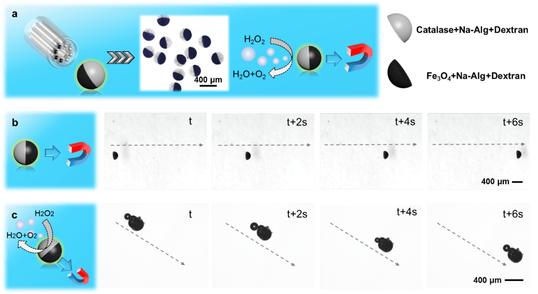怎么做运动轨迹 e996f4db713d4bdc8dfe41bfc9c7df5c.png