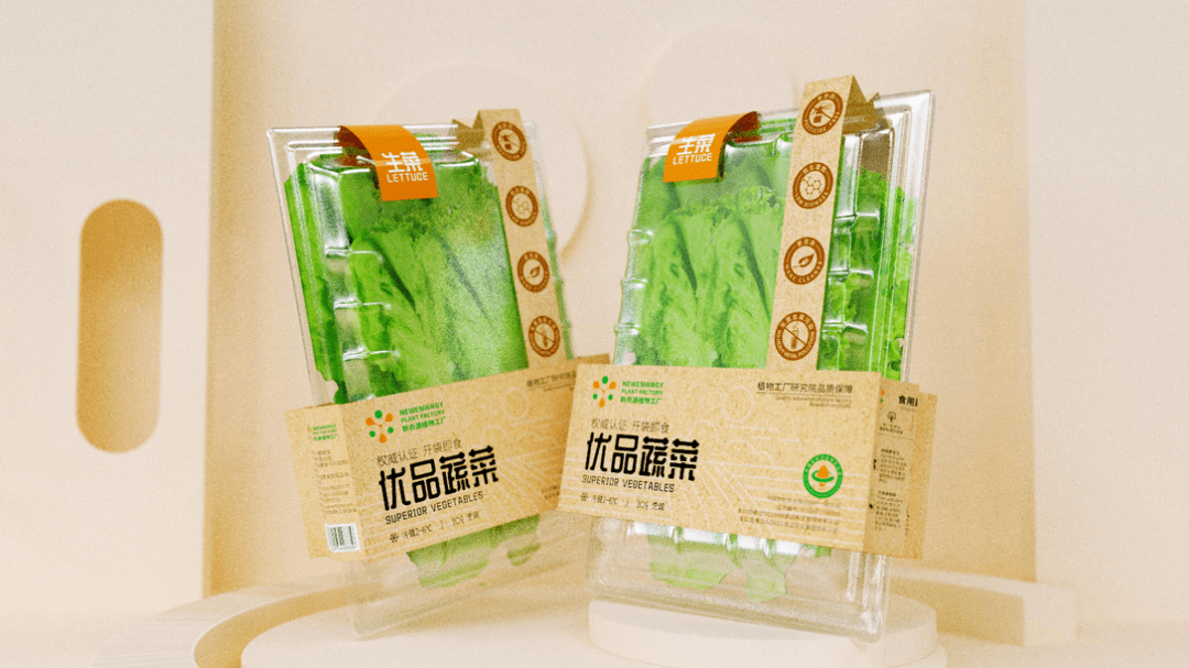 极具时尚感的蔬菜包装设计学到了