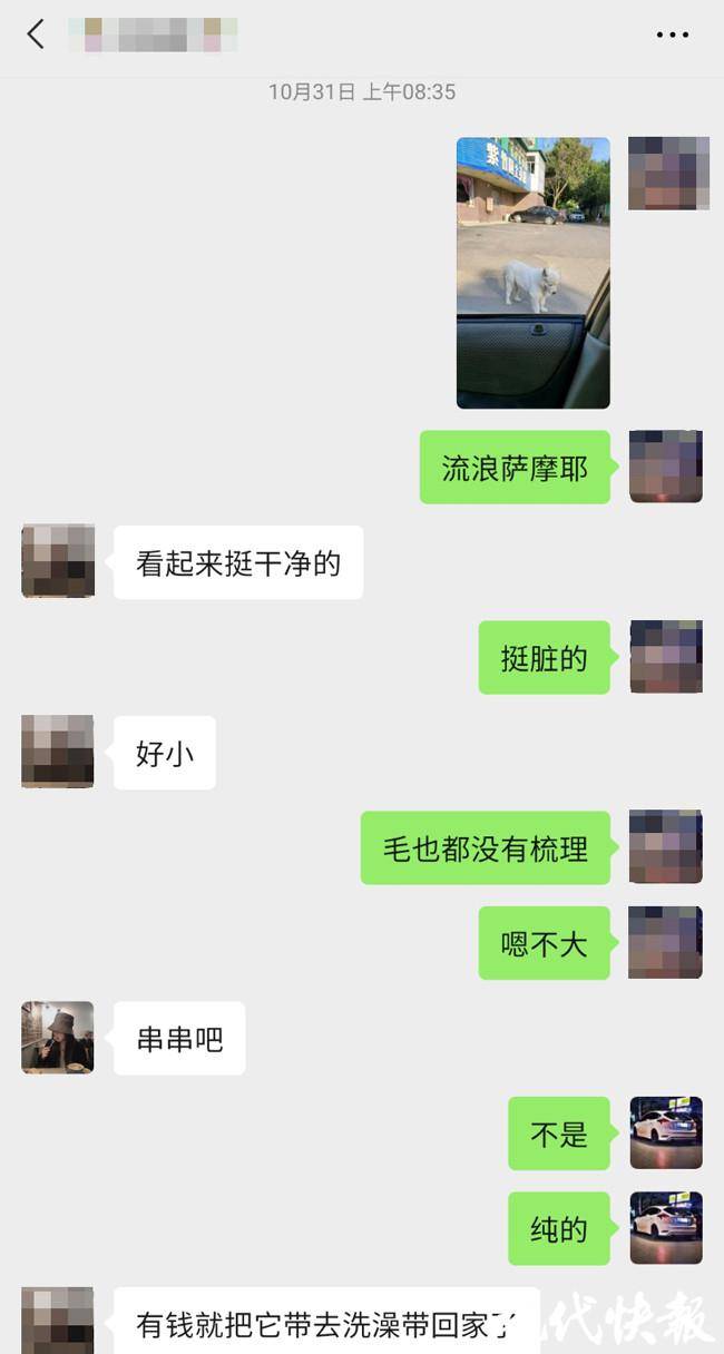 捡狗？偷狗？小伙叫屈：家里已有两条，何必再偷