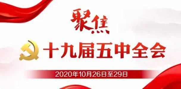 海外侨胞热议十九届五中全会:点赞"十三五"结硕果 期盼"十四五"新航程