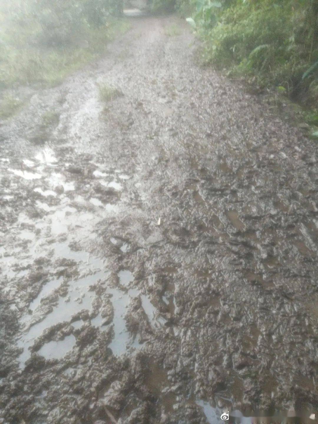 富顺这些道路泥泞不堪!附近的人苦不堪言!