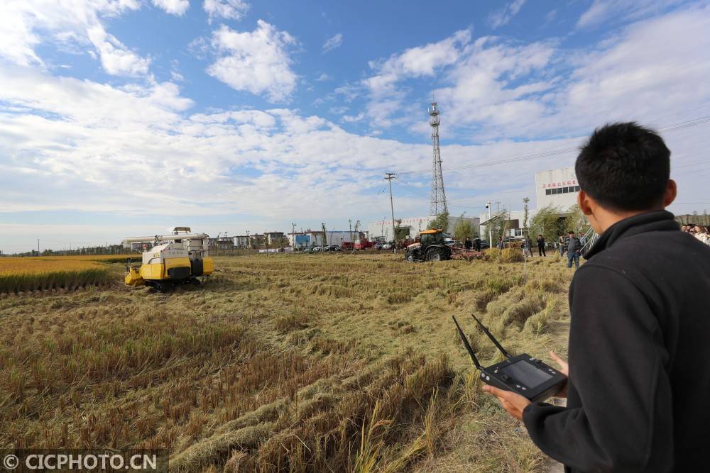 正余镇|江苏海门：“5G+无人农场”收割忙