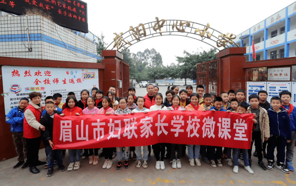 中学和武阳小学组织志愿者彭山区未成年人心理健康辅导中心眉山市彭山