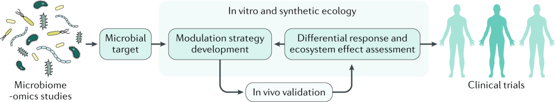 知识科普|Nature子刊：微生物组疗法想要成功，少不了这个方法