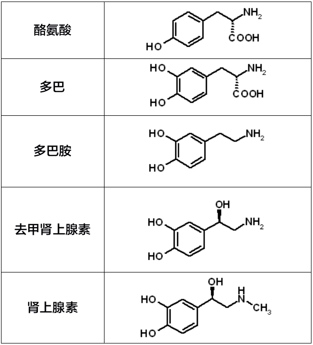 受体|一文理清：肾上腺素、去甲肾上腺素、异丙肾上腺素的差别