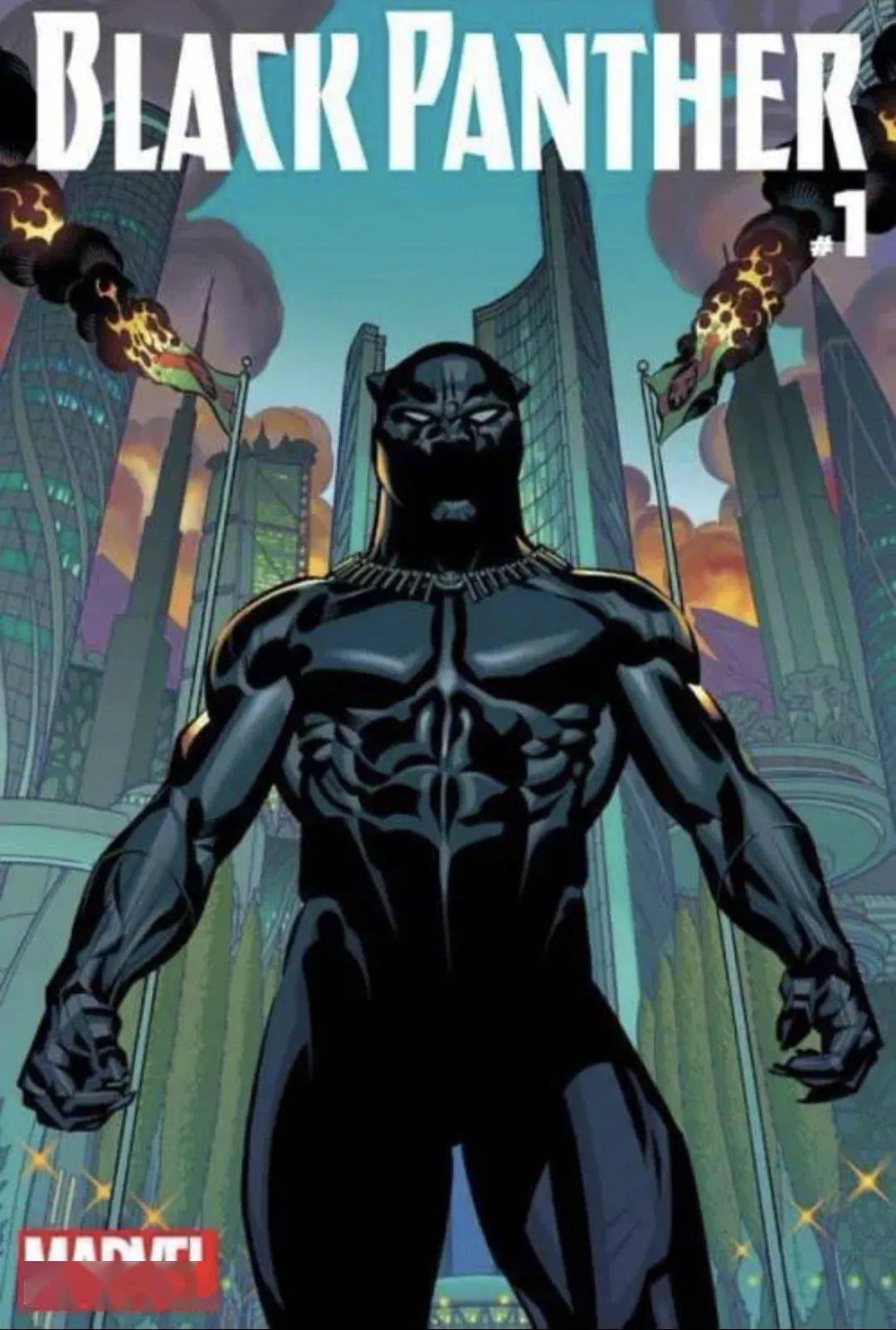 黑豹图片大全高清图片 2e7c84b4d10d43cba33bc3458047ed13.jpeg