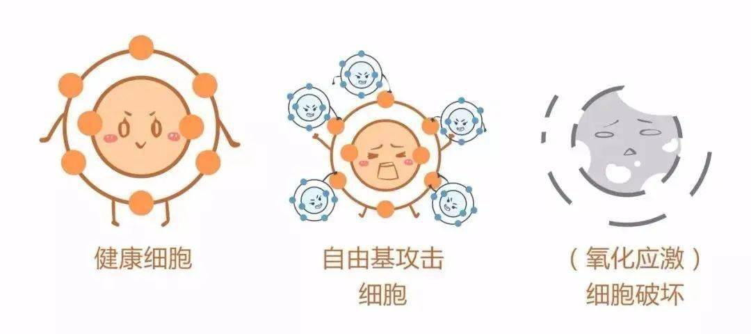 美的|41岁，她依旧美的很高级