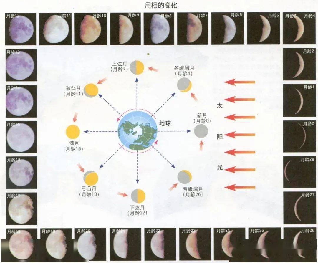 初一到三十月亮变化图,从初一到三十的月亮图,月相变化图2019_大山谷图库