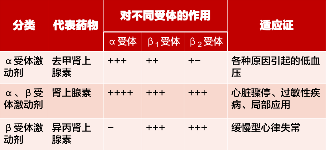 受体|一文理清：肾上腺素、去甲肾上腺素、异丙肾上腺素的差别