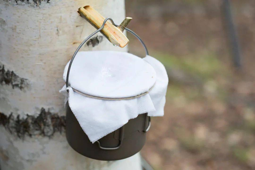 工人|戳进来 | 白天打工人夜里尾款人，拿什么挽回我的少女感？