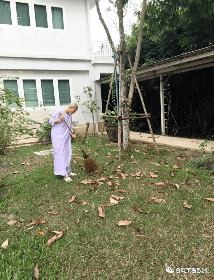 真实宫廷戏！泰国贵妃沦落到出家做尼姑每天种菜