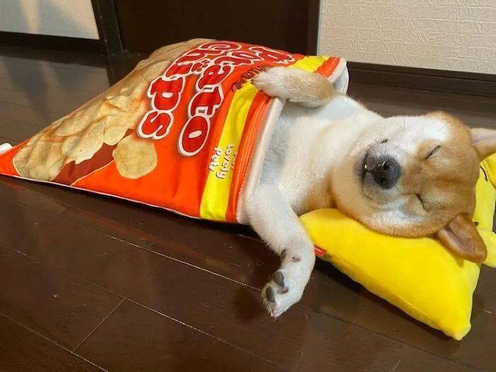在沙滩趴下感觉硌的慌怎么办？