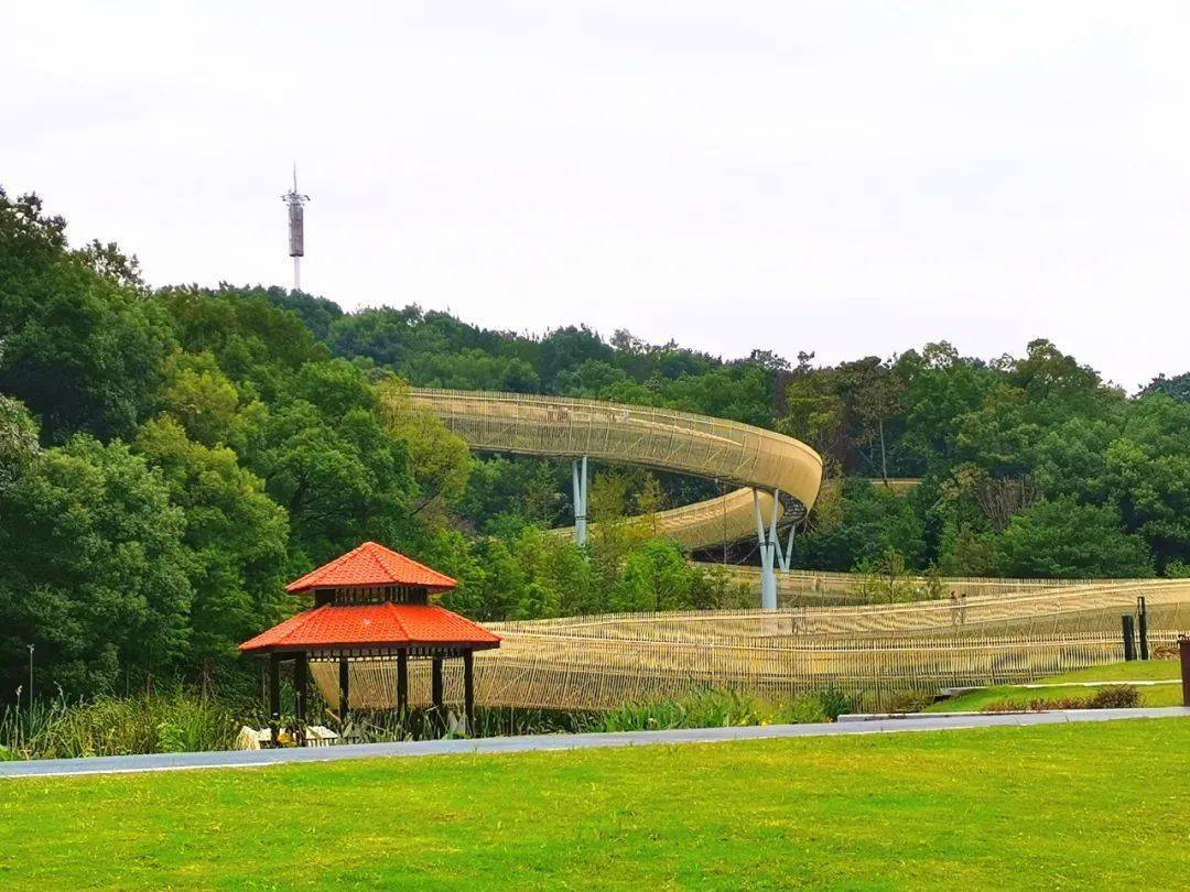 磨盘山森林公园  这座盘山而建的超长栈道,光从气势上看起来就已经
