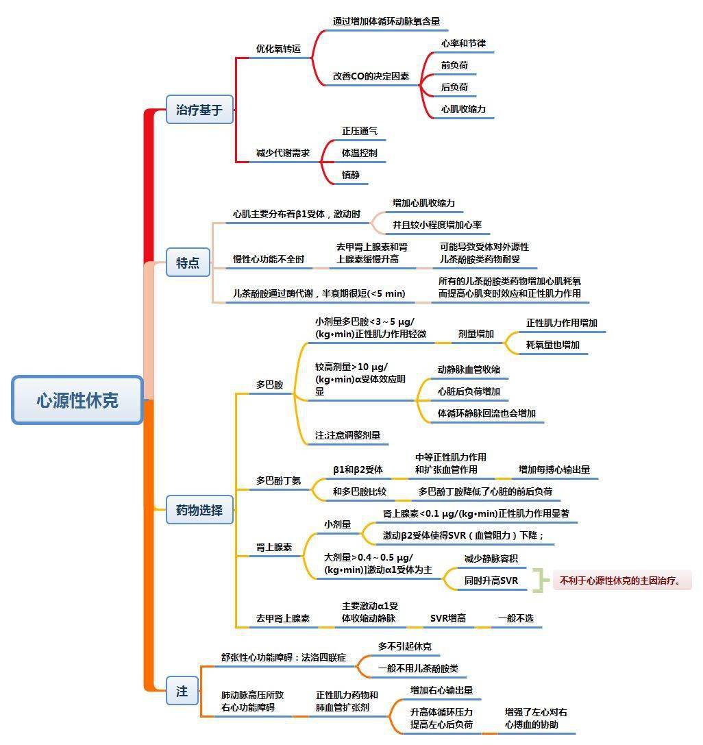 思维导图-各种休克与血管活性药物的使用