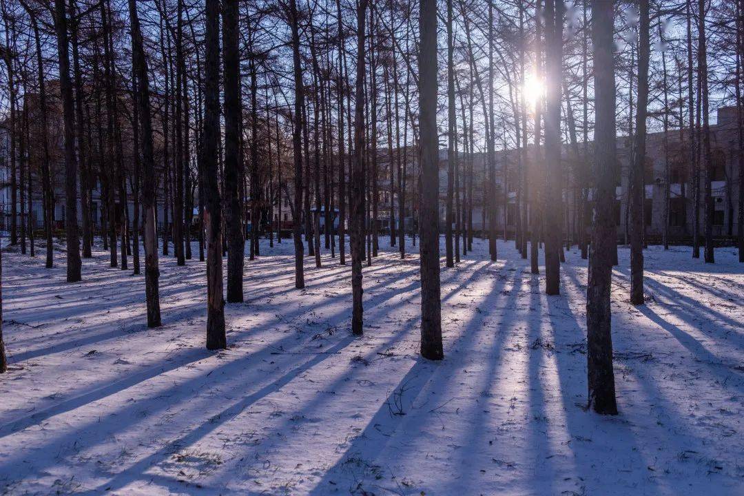 光影|初雪记｜光影斜斜，落雪迟迟