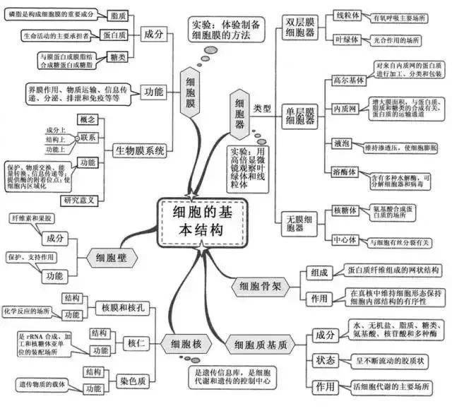 高中生物:一轮复习必看思维导图,帮你理清学习思路