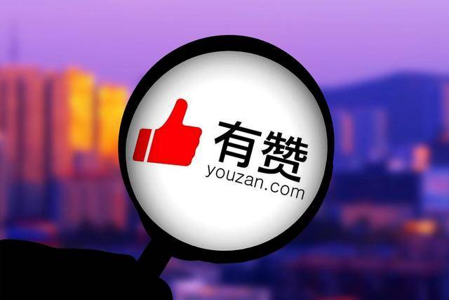 SaaS|旗下App被下架，电商SaaS风雨路，有赞还能走多远？