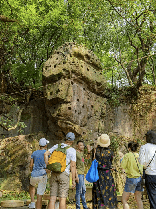 各位看官,杭州即将迎来银杏季,请准时赴约!_大佛寺