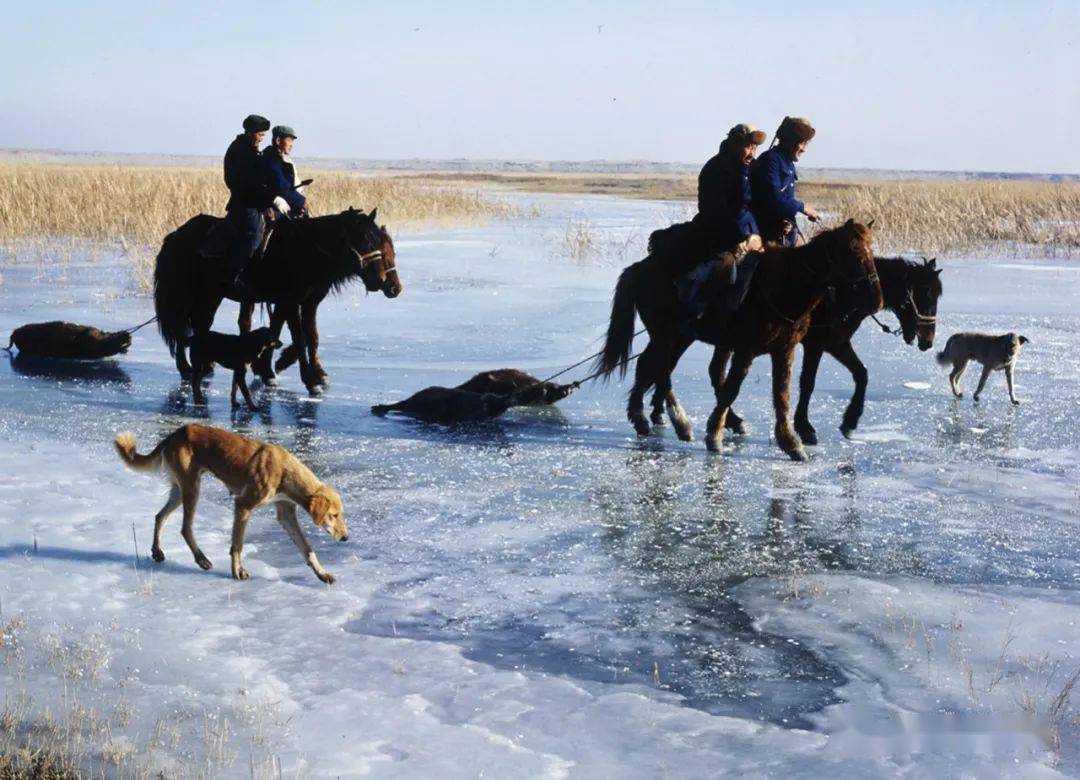 图说新疆传统生产生活方式(20):锡伯族人的冬猎