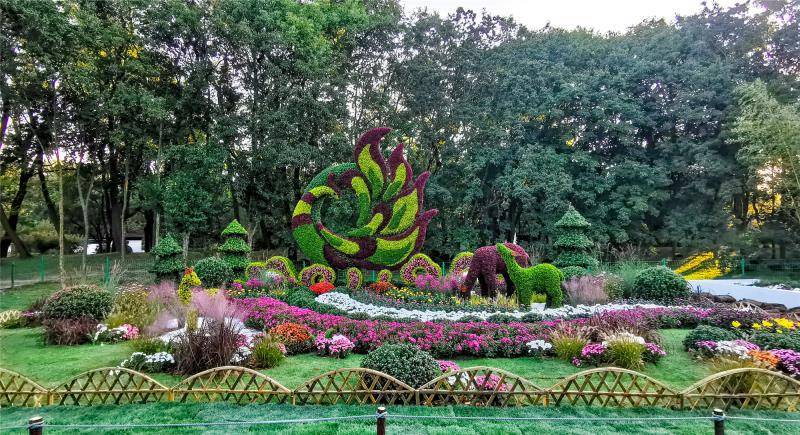 上海菊花展展期过半吸引游客19.85万人次 这周还有更精彩的活动_共青森林公园