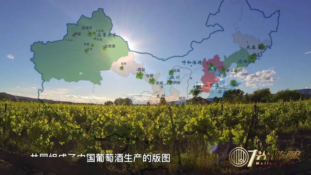 时光陈酿 | 探寻葡萄酒图腾—中国葡萄酒十大产区(下)