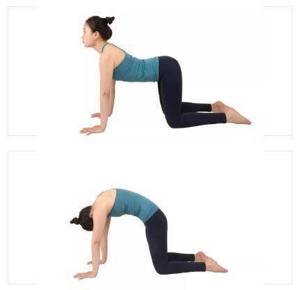 肩胛|迪丽热巴的这张照片,一点都不性感!