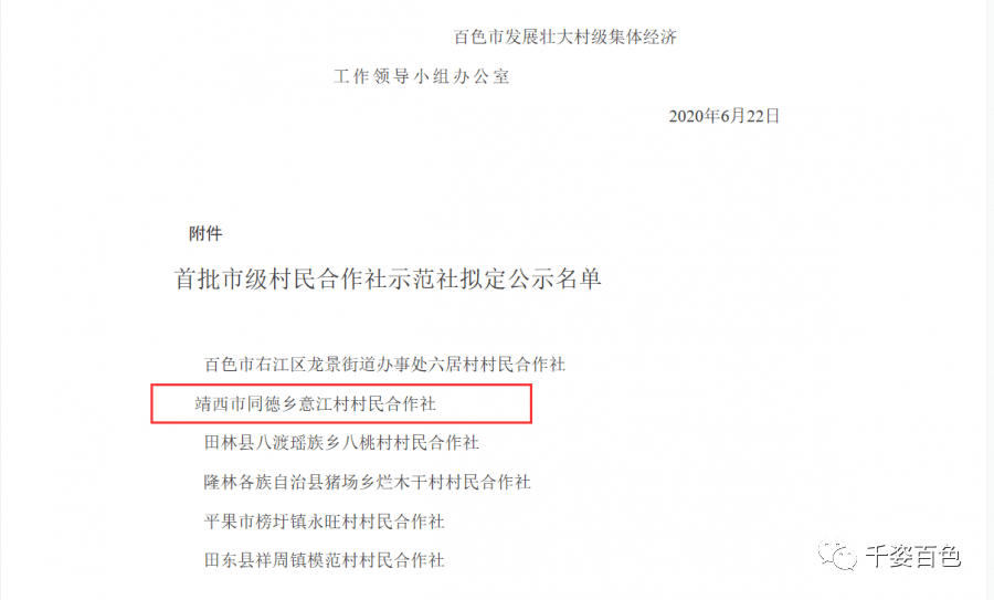 村集体经济总量是什么意思_白带是什么图片(3)