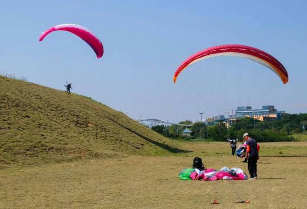 艾涛|广西持续唱“晴”歌！不过15号起，又要变天了……