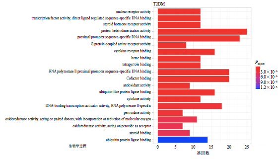 药理学GDP