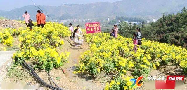 新化县维山乡四都村人口_寺山乡青瑶村